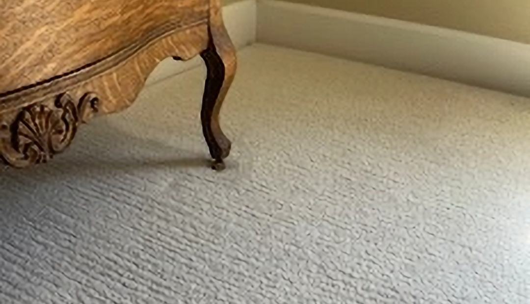 Freshly cleaned light carpet with grooming lines beside a carved wood dresser in a Denver-area home.